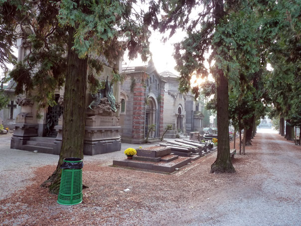 Foto 50
