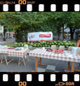 Foto 03