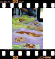 Foto 02