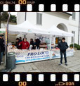 Foto 31