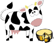 Mucca